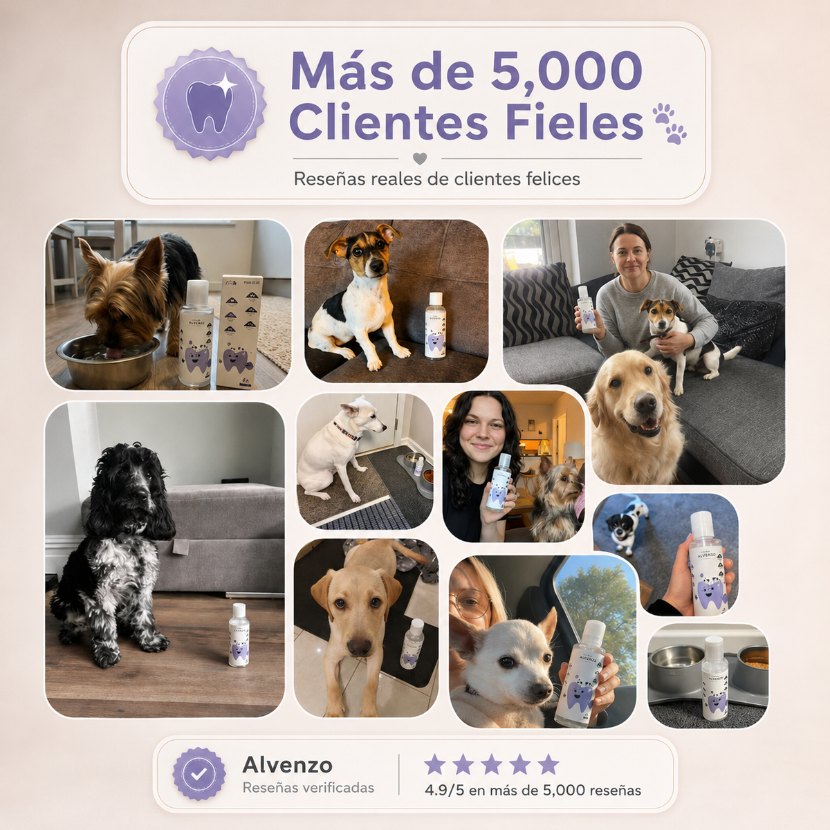 Selinna Dental | Dientes Limpios y Aliento Fresco sin Cepillado