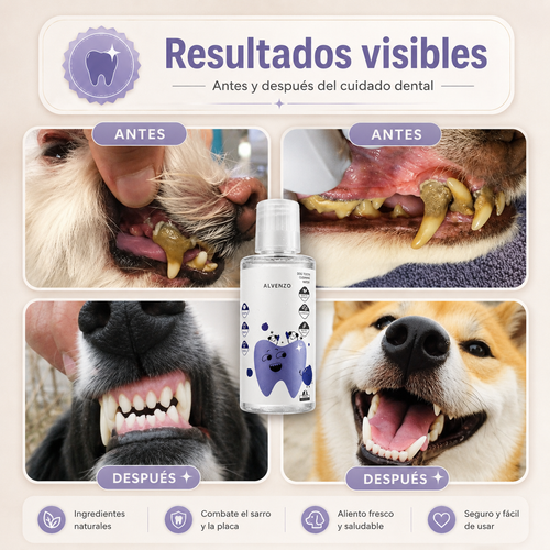 Selinna Dental | Dientes Limpios y Aliento Fresco sin Cepillado