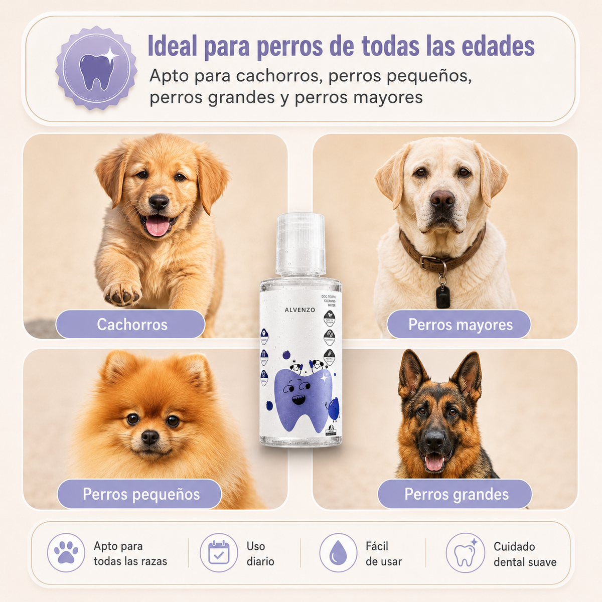 Selinna Dental | Dientes Limpios y Aliento Fresco sin Cepillado